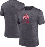 Nike Men's Nike Charcoal Ohio State Buckeyes Campus Center Block Velocity Performance T-Shirt