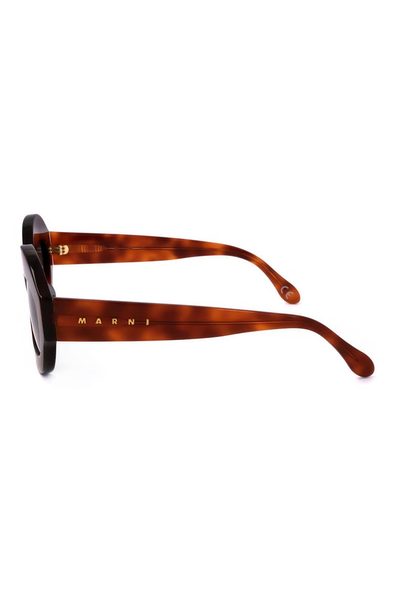 54mm Cat Eye Sunglasses, Alternate, color, TORT GREY