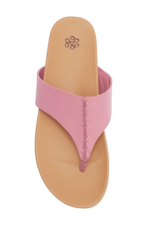 The Sak Everly Sandal In Purple