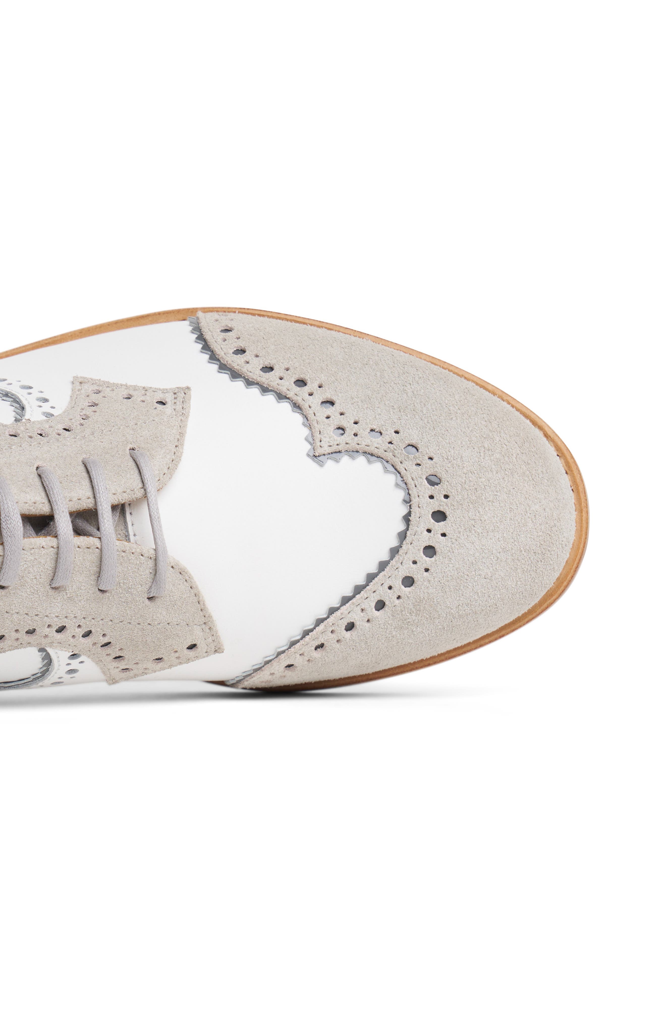 The Office of Angela Scott Ms. Eugenie Wingtip Derby, Alternate, color, 