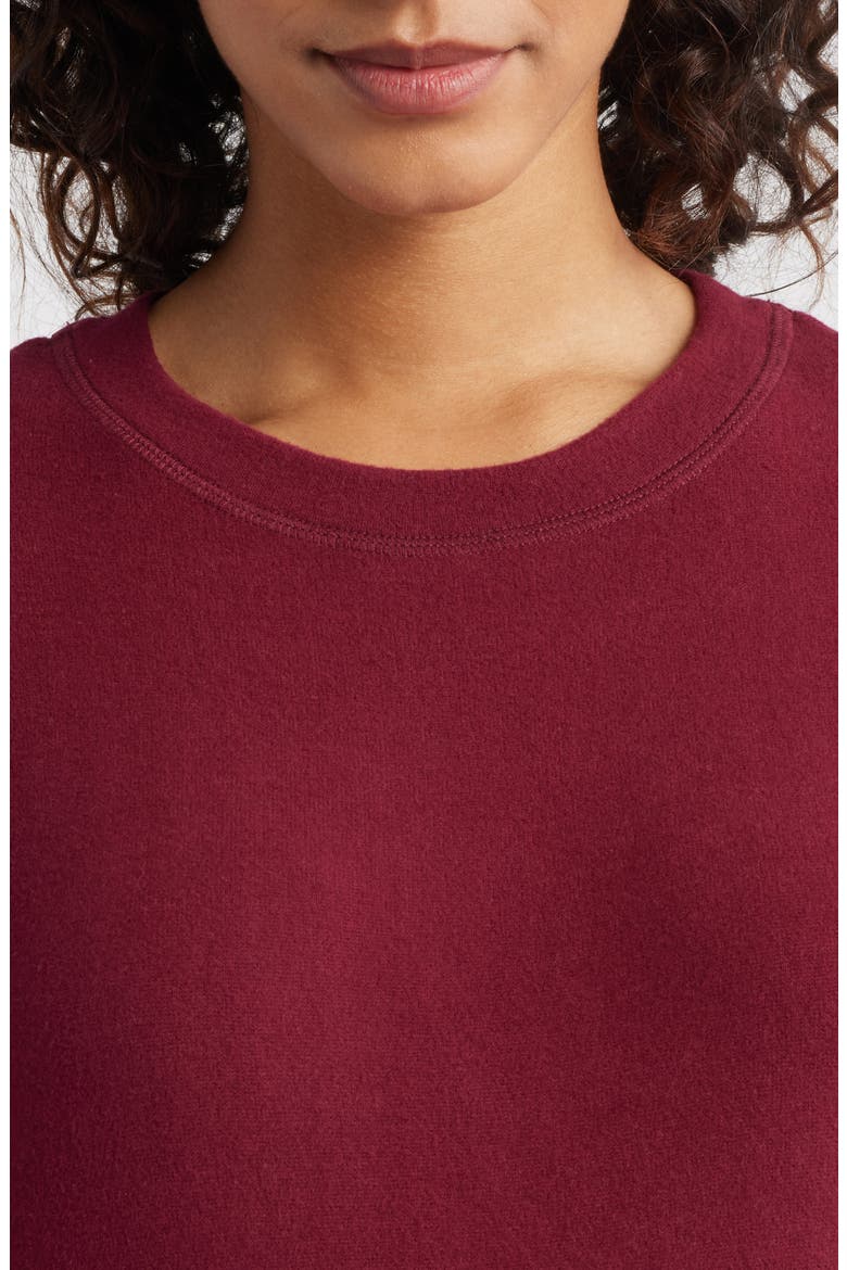 Brushed Jersey Crewneck Top, Alternate, color, BURGUNDY