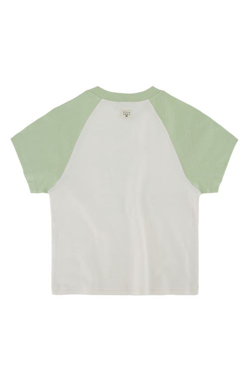 Shop Billabong Kids' Palm Logo Raglan Sleeve Cotton Graphic T-shirt In Sage Frost