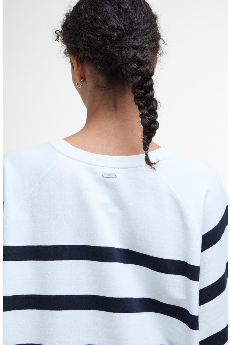 Delaney Stripe Cotton Fleece Sweatshirt, Alternate, color, CLOUD STRIPE