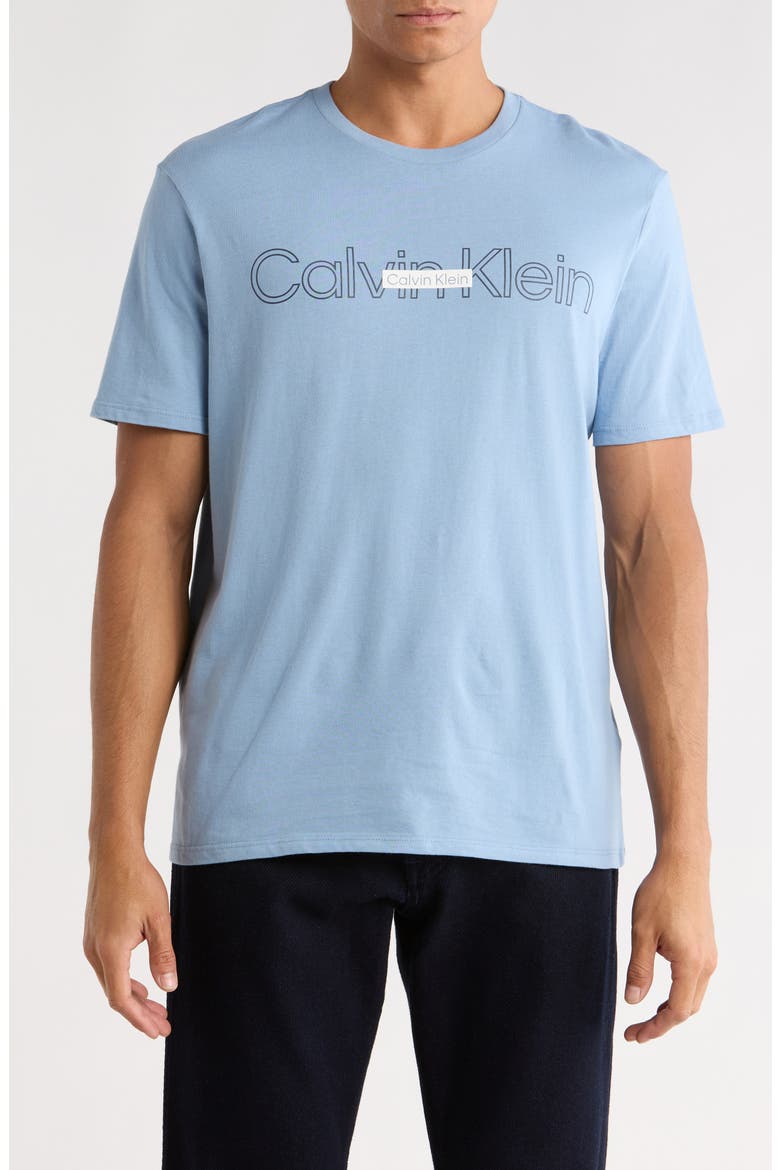 Double Standard Logo Graphic T-Shirt, Main, color, FADED DENIM