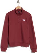 The North Face Evolution Simple Dome Regular Quarter Zip Pullover