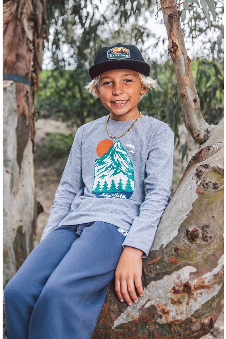 Adventure Seeker Long Sleeve Cotton Graphic T-Shirt, Alternate, color, HEATHER GREY