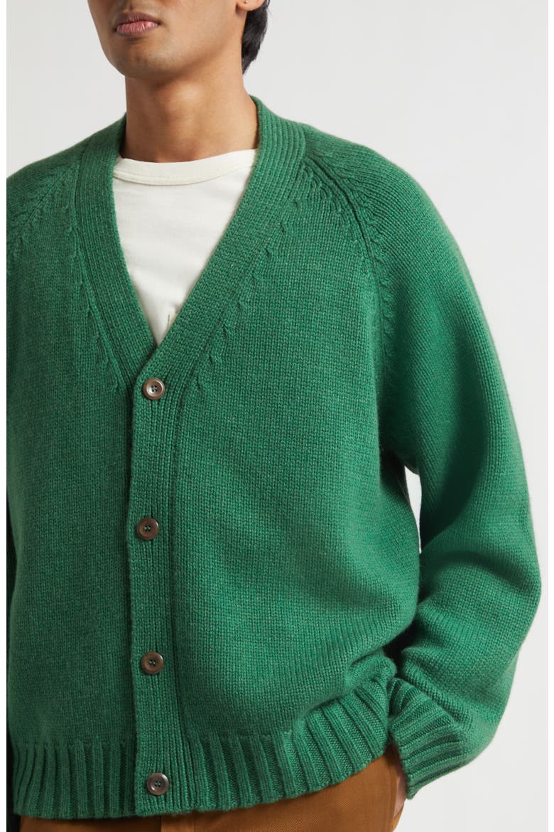 Oak Cashmere V-Neck Cardigan, Alternate, color, FERN