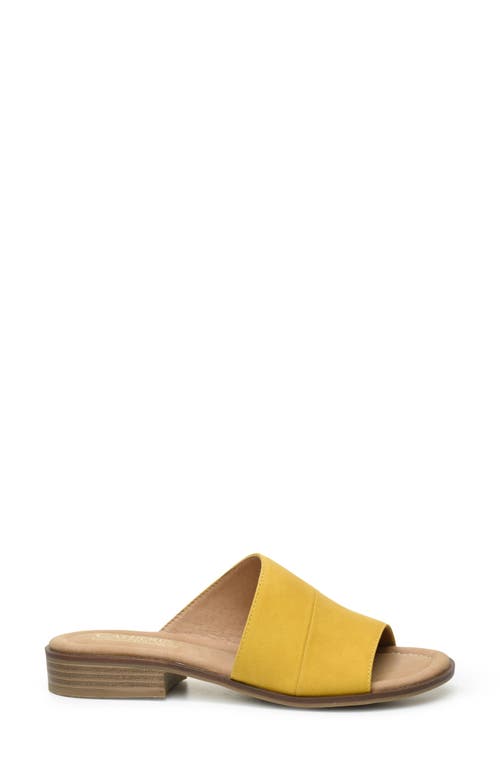 Catherine Catherine Malandrino Danielle Slide Sandal In Mustard Nubuck