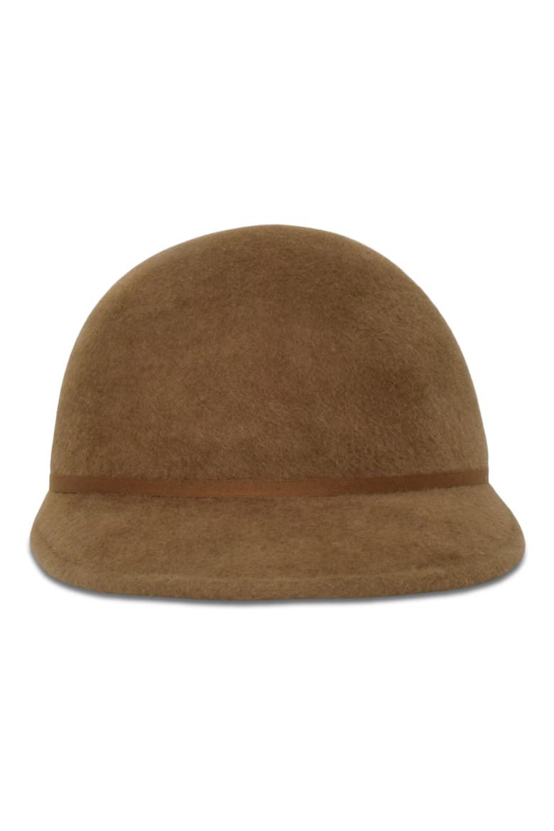 Ana Velour Felt Cap, Main, color, PECAN
