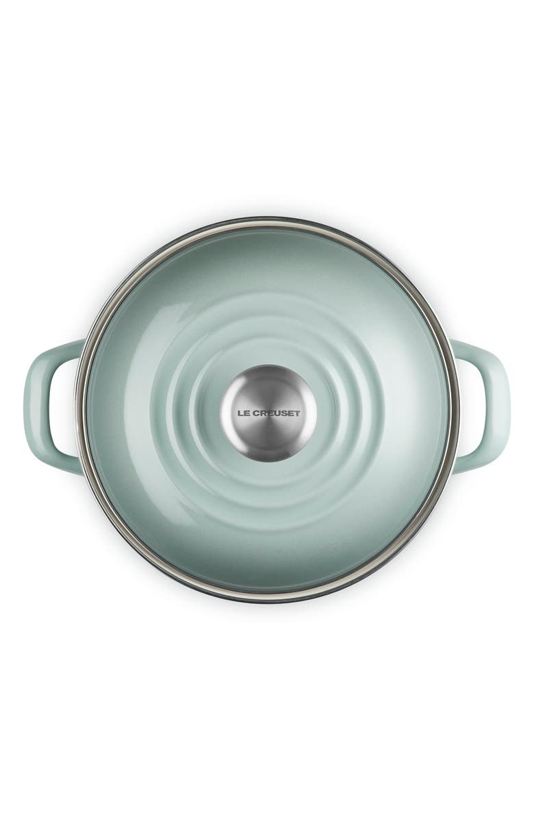 Le Creuset 6-Quart Enameled Stainless Steel Stock Pot, Alternate, color, Sea Salt