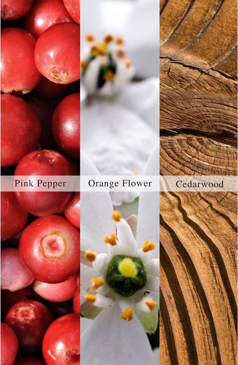 AllSaints Sunset Riot Eau de Parfum Set, Alternate, color, 