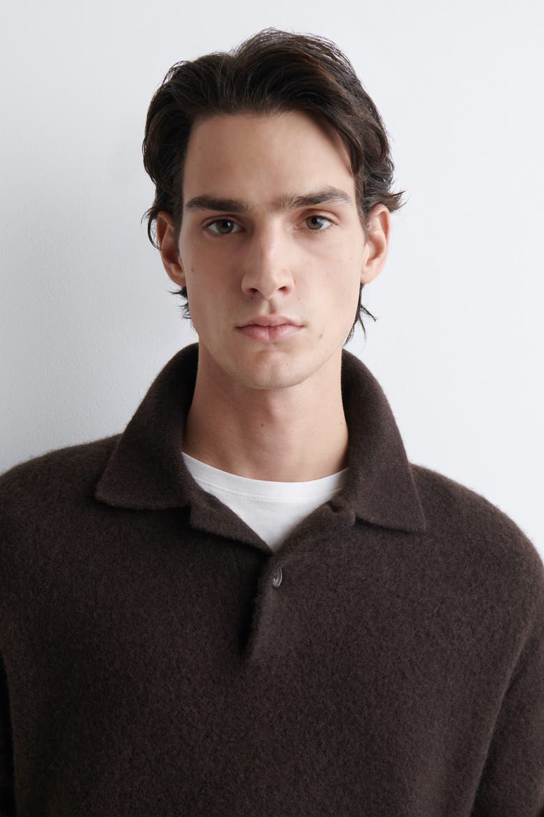 Brushed-Wool Polo Shirt, Alternate, color, DARK BROWN