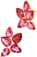 SAVVY CIE JEWELS Crystal Drop Earrings