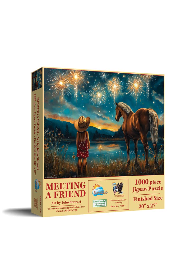 Meeting a Friend 1000 piece Jigsaw Puzzle for Adults, Main, color, Multicolor