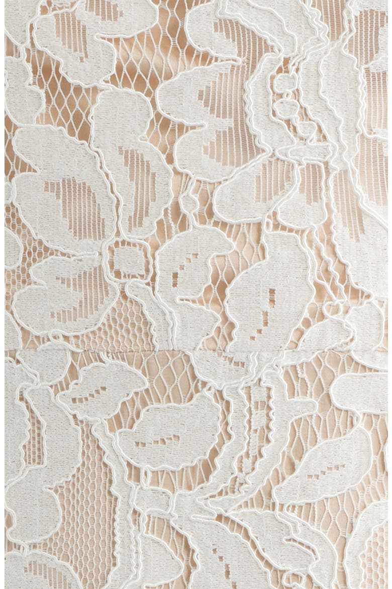 Floral Lace Sheath Dress, Alternate, color, IVORY BEIG
