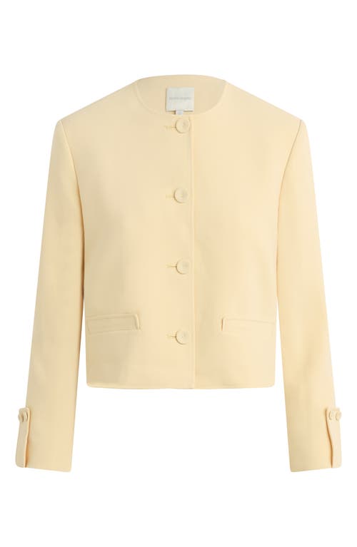 Favorite Daughter The Aurora Collarless Jacket