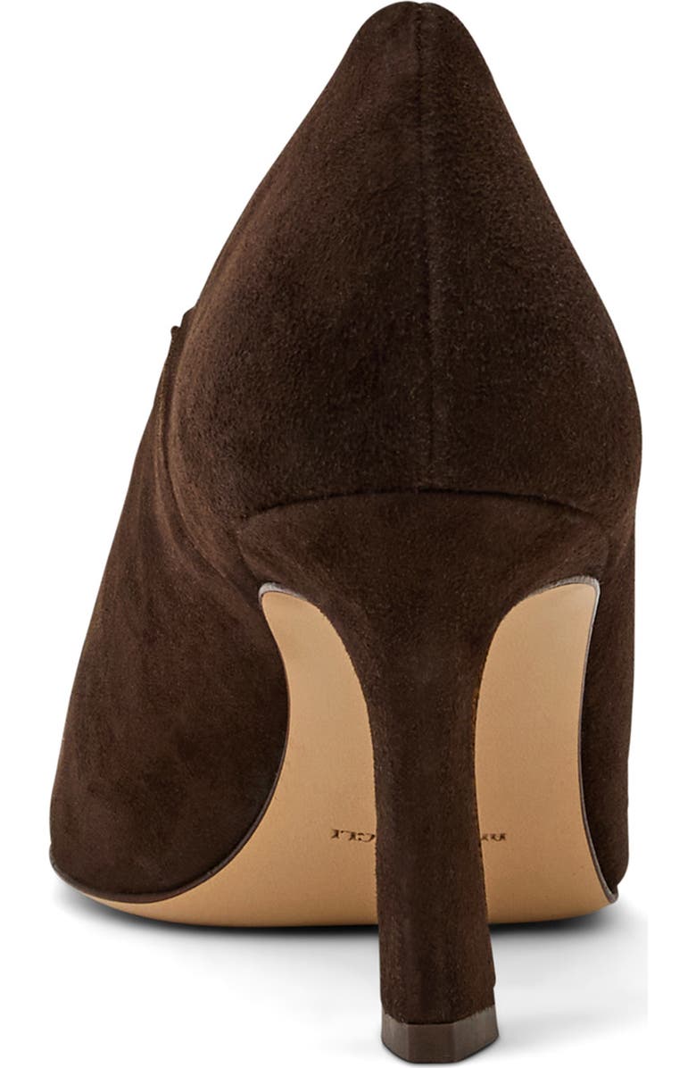 Bruno Magli Athena Pointed Toe Pump, Alternate, color, Dark Brown Suede