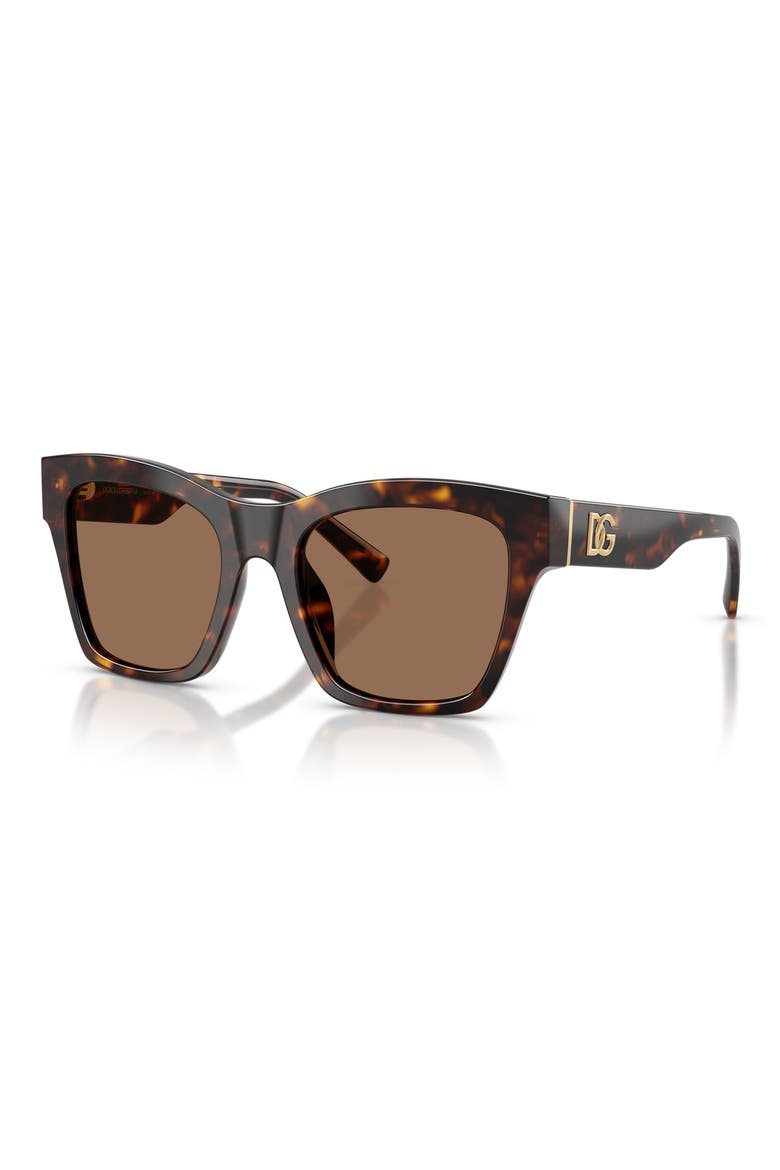 53mm Square Sunglasses, Alternate, color, HAVANA / DARK BROWN