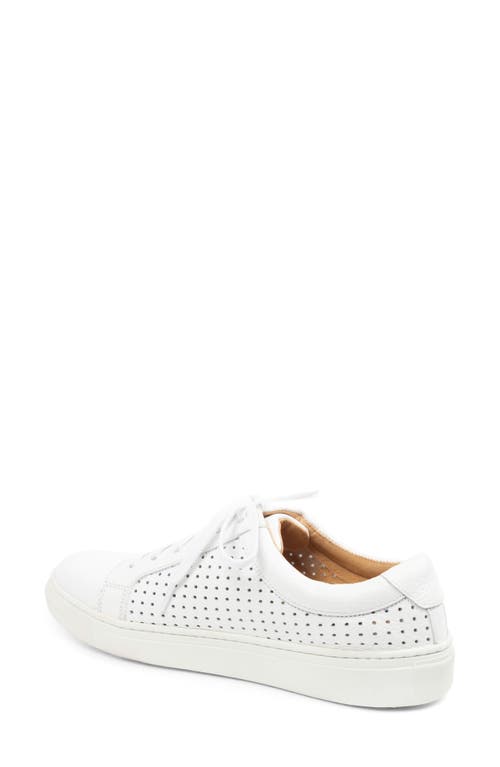 Patricia Green Ryan Peforated Sneaker In White