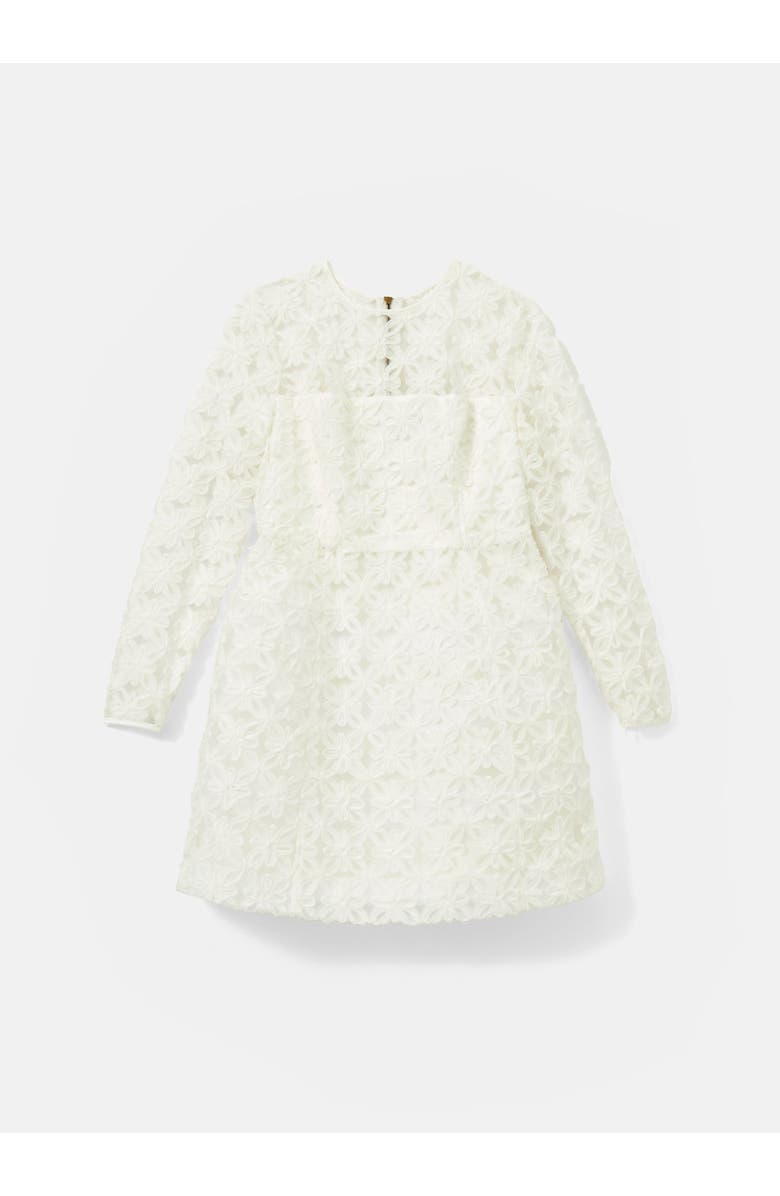 MINT VELVET Lace Hourglass Mini Dress, Alternate, color, 