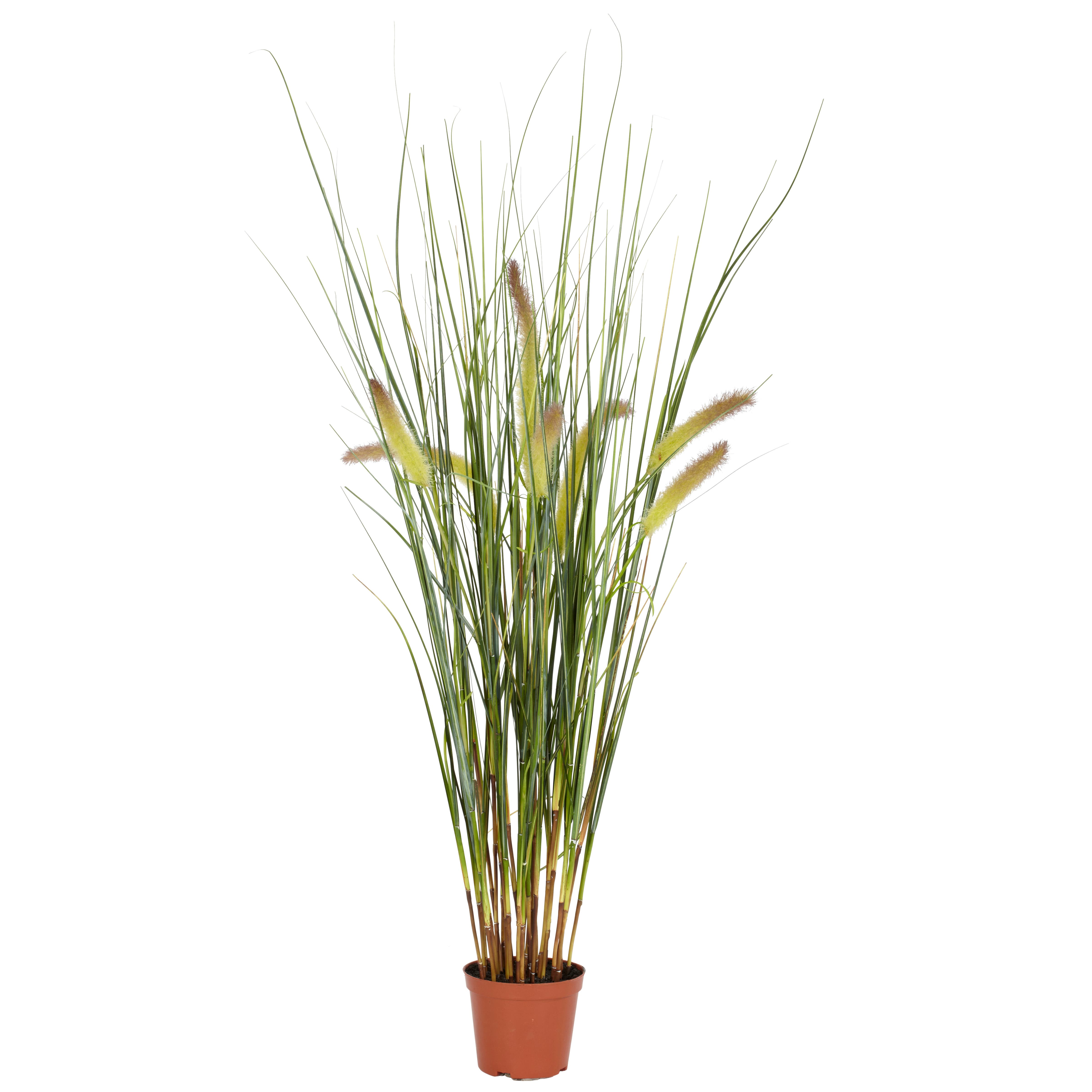 selected Green