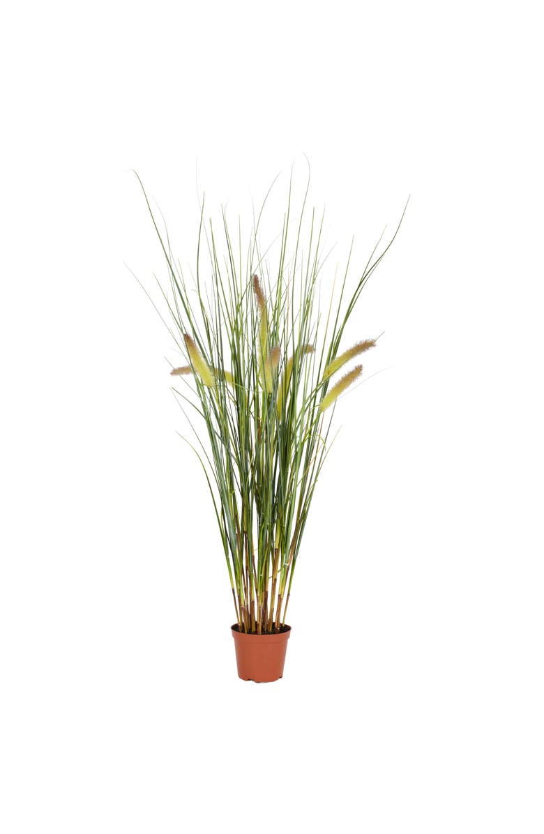 NEARLY NATURAL 2.5-ft Grass Plant, Main, color, Green