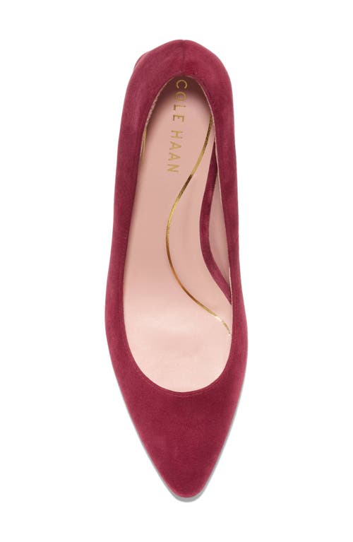 Cole Haan Cassandra Pointed Toe Pump