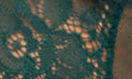 Oh La La Cheri Floral Lace Chiffon Long Chemise In Green