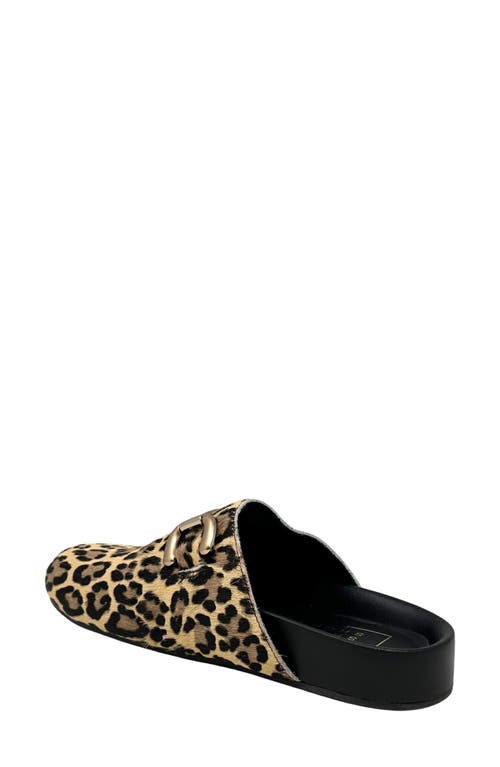 Shushop Azalea Mule In Animal Print