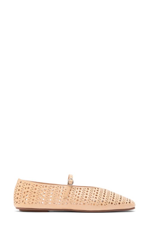 JEFFREY CAMPBELL JEFFREY CAMPBELL KHLOE PERFORATED SQUARE TOE FLAT 