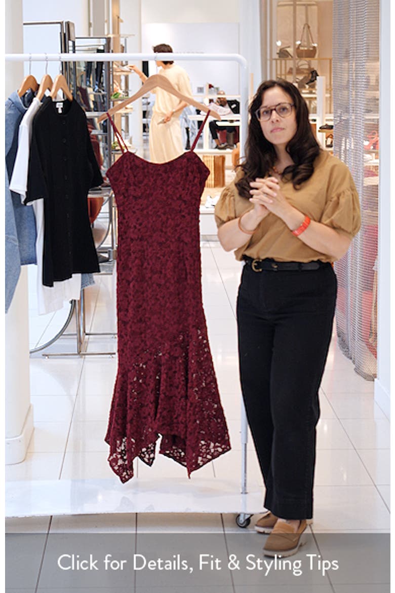 Lorde Embroidered Lace Midi Dress video