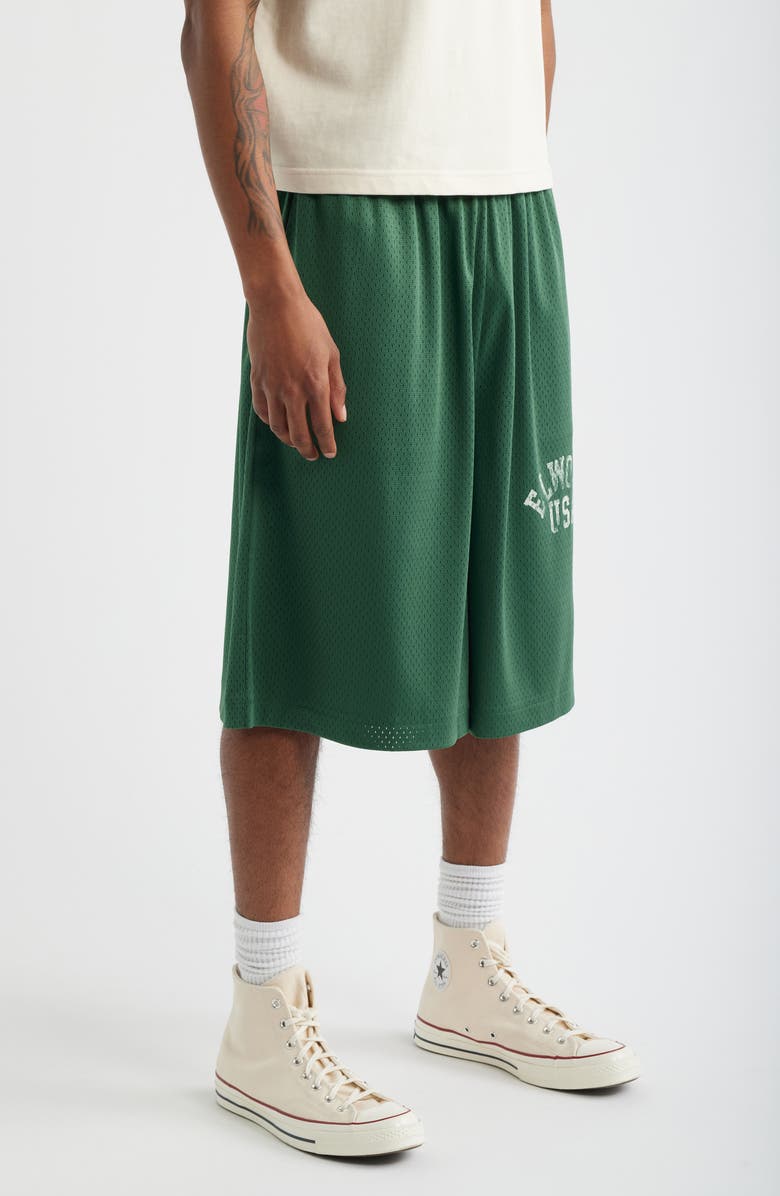 Elwood Canopy Mesh Basketball Shorts, Alternate, color, Pine