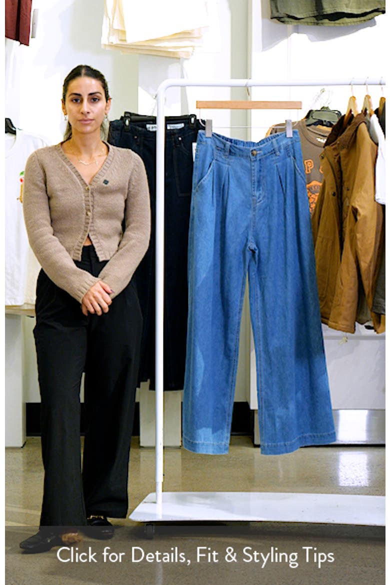 Rosalee Pleated Chambray Wide Leg Pants video