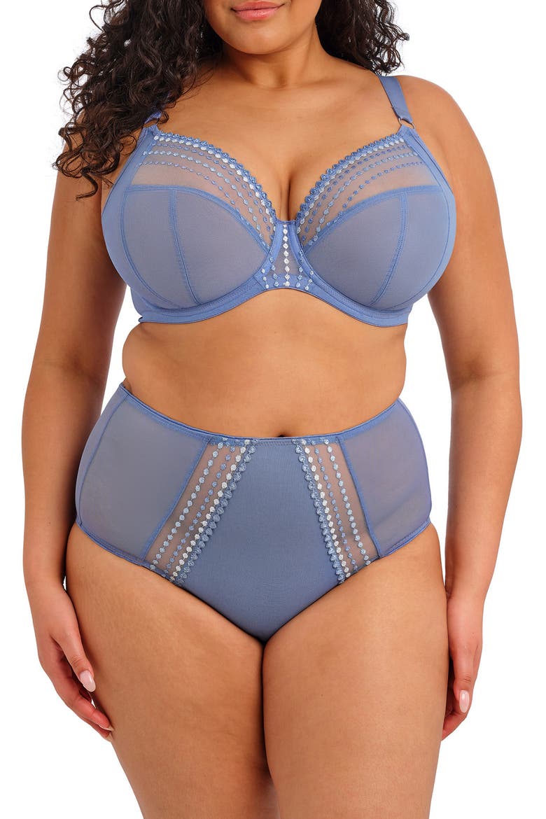 Matilda Full Figure Embellished Briefs, Alternate, color, LUNAR BLUE