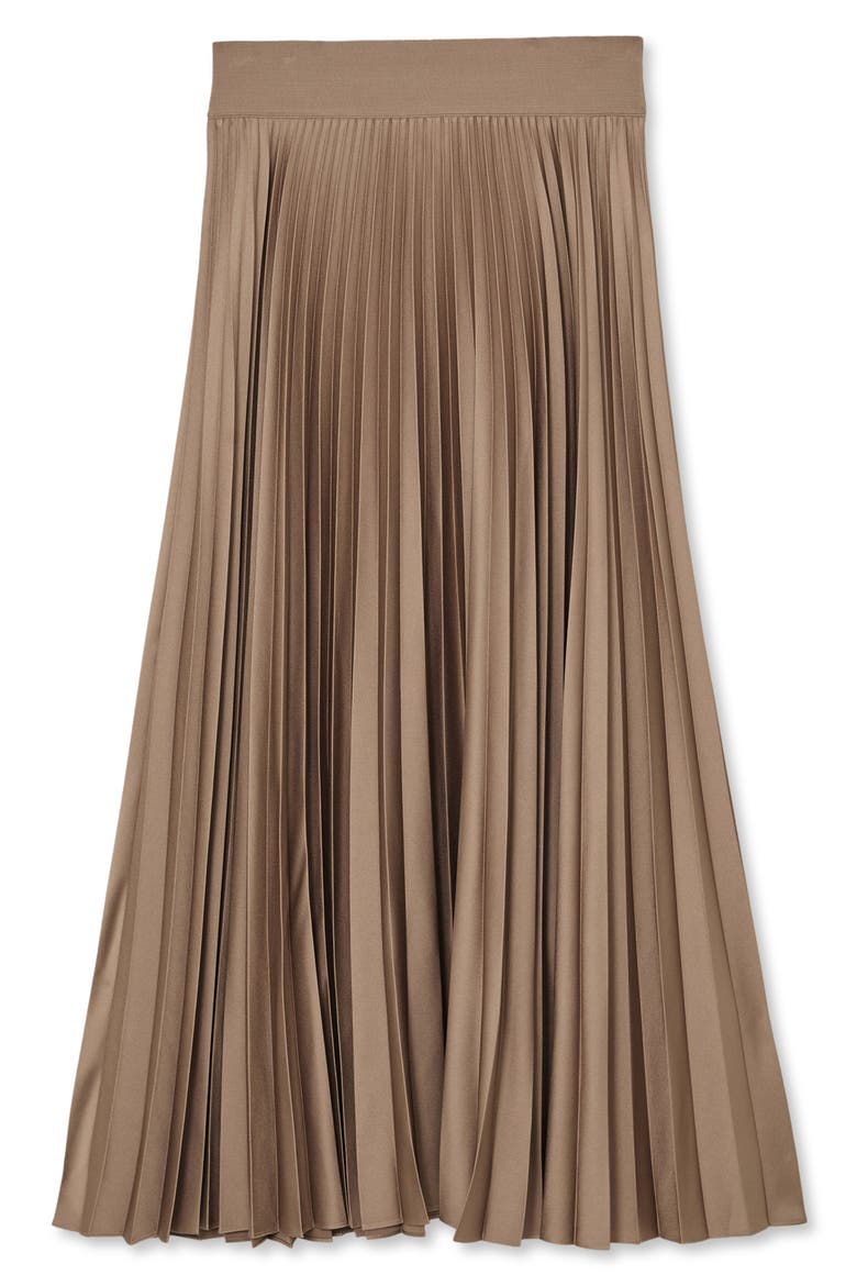 Seren Pleated Maxi Skirt, Alternate, color, MOCHA BROWN