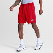 Nike Men's Nike Scarlet Ohio State Buckeyes Totality Dri-FIT Shorts