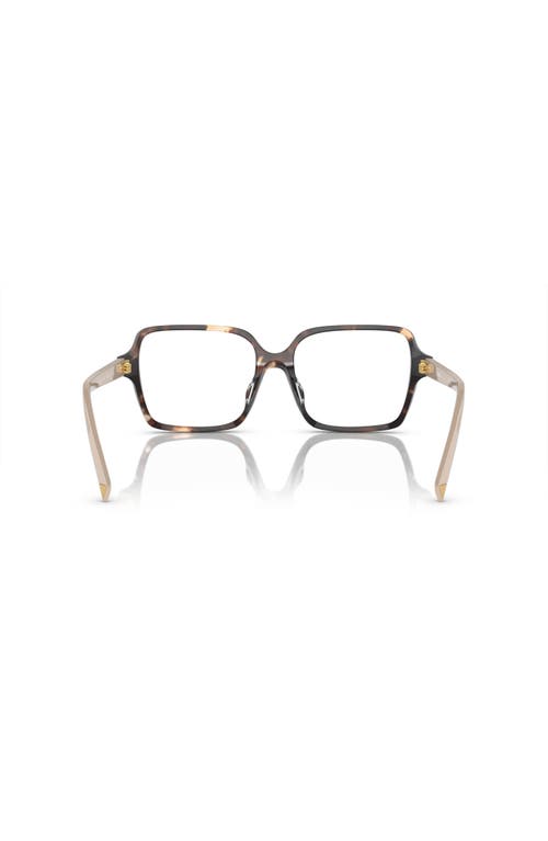 Prada 51mm Rectangle Optical Glasses In Brown