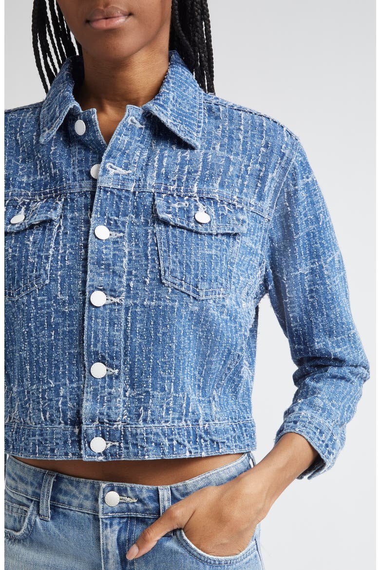 Koda Crop Denim Jacket, Alternate, color, EVERSON