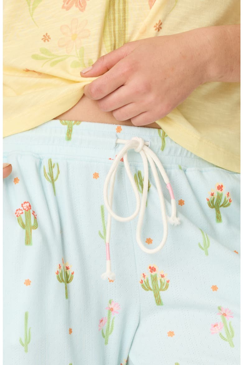 Feelin Prickly Pajama Pants, Alternate, color, TINTED AQUA