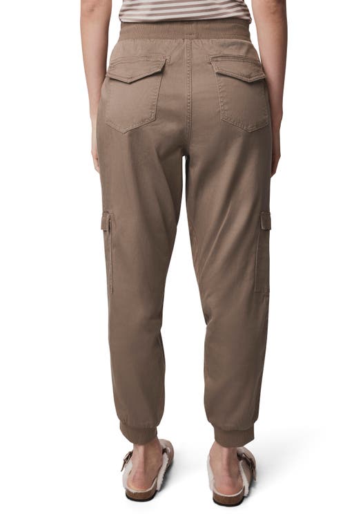 Splendid Jaclyn Drawstring Waist Joggers In Brown