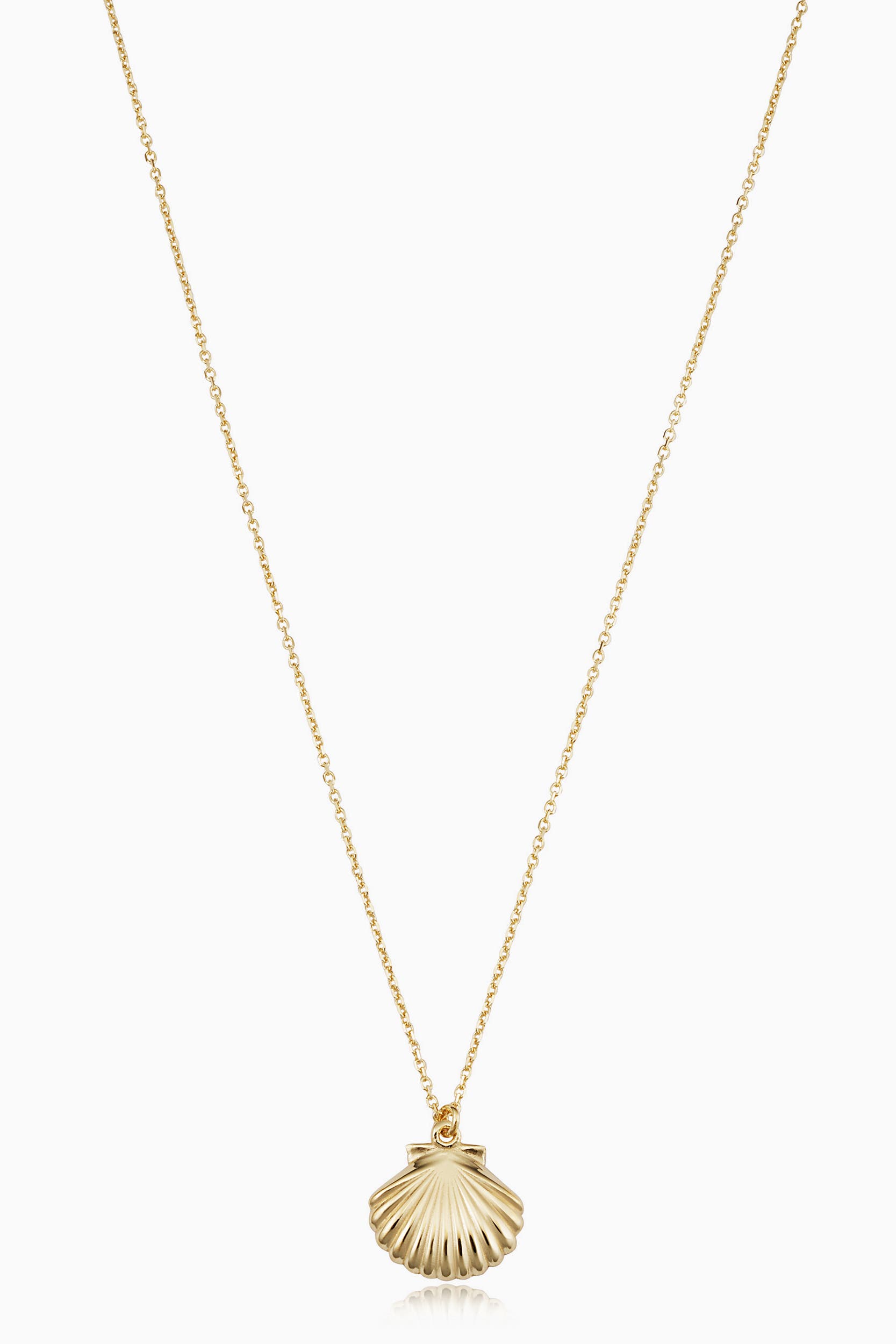 Oradina 14K Yellow Gold Seashell Pendant Necklace | Nordstrom