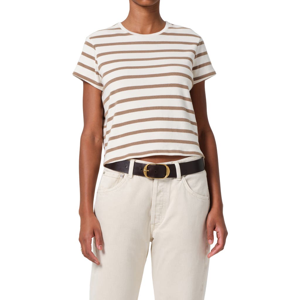 Citizens Of Humanity Kyle Stripe T-shirt In Ginger Stripe