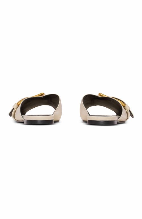 Balmain Anthem Flat Leather Sandals In Sand