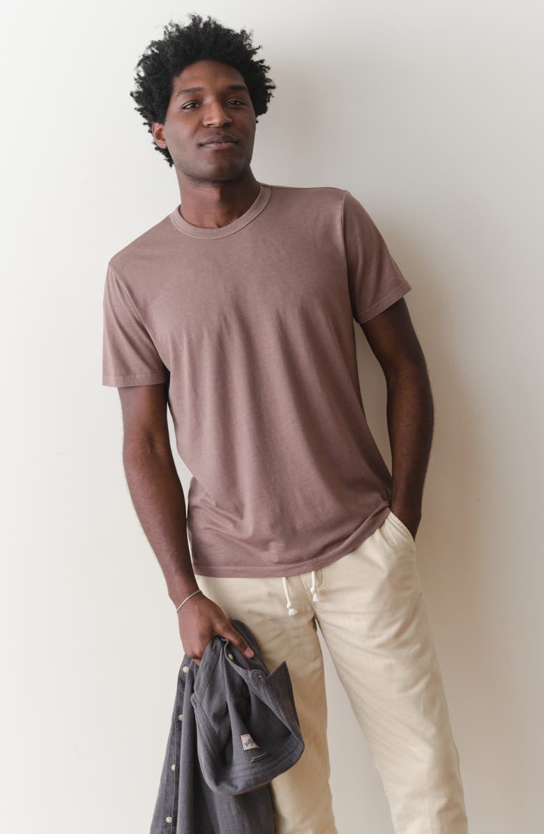 Marine Layer Signature Sea Change T-Shirt, Alternate, color, Coffee Quartz