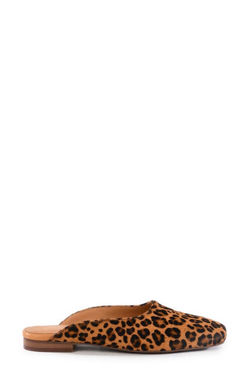 Seychelles Prim & Proper Mule In Animal Print