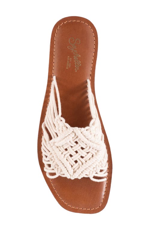 Seychelles Mahogany Slide Sandal In Natural