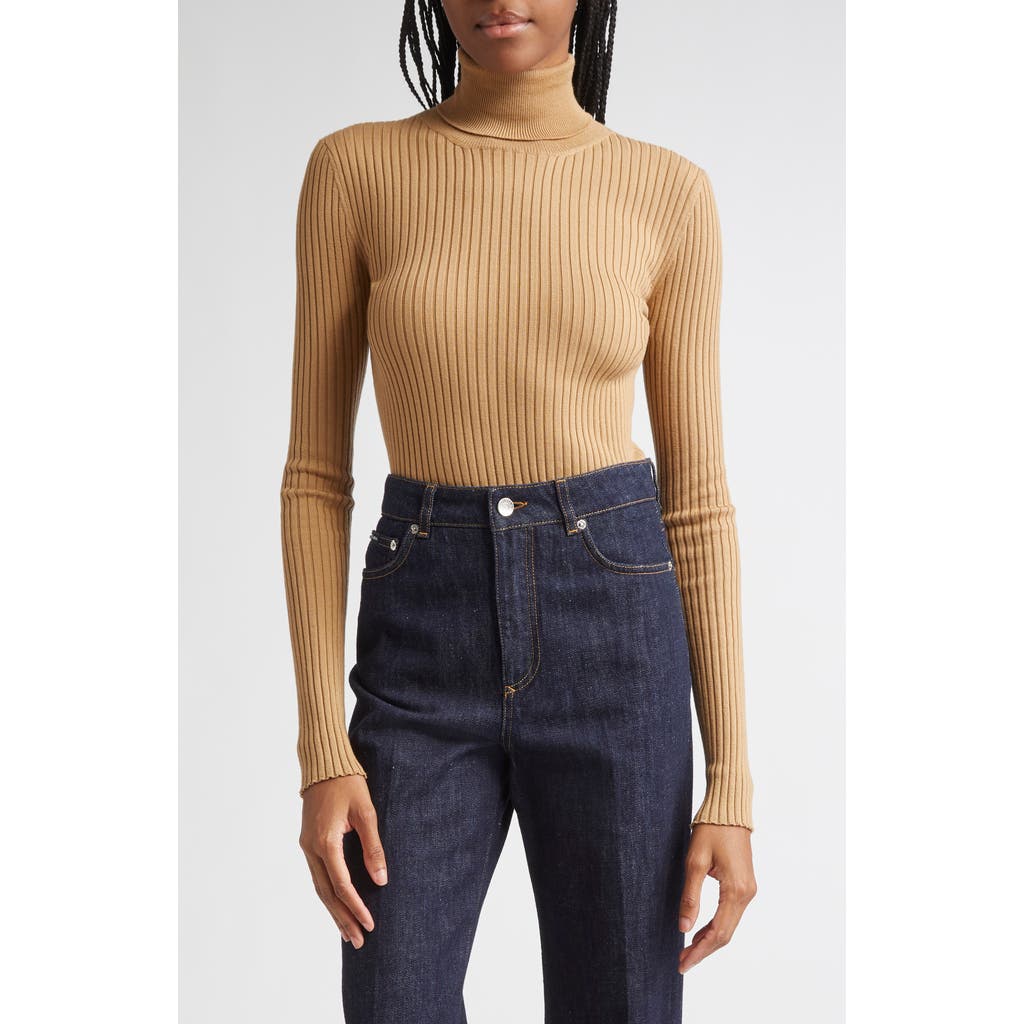Dolce & Gabbana Dolce&gabbana Virgin Wool Blend Rib Turtleneck Sweater In Brown