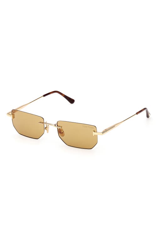 Tom Ford Ethan 53mm Geometric Sunglasses In Green