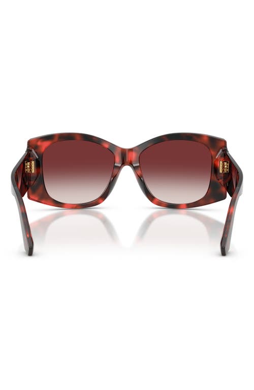 Dolce & Gabbana Dolce&gabbana 54mm Gradient Butterfly Sunglasses In Brown