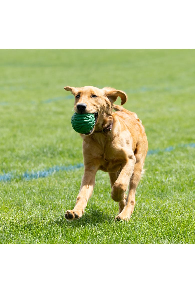 Luna Ball, 4 Inches, Large, Green, Dog & Puppy Toy, Alternate, color, Green